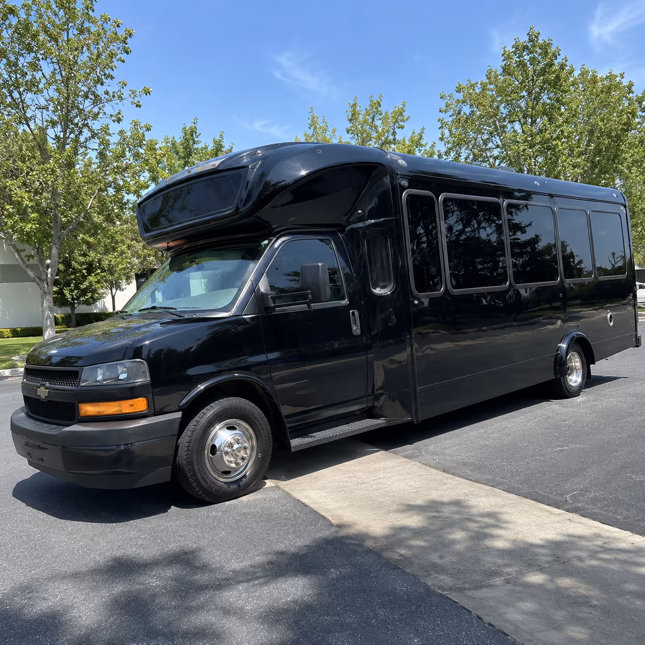duluth 15 passenger party bus